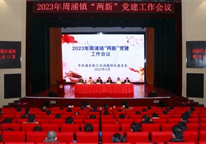 宗保公司黨支部榮獲周浦鎮“兩新”活力黨支部榮譽(yù)稱(chēng)號